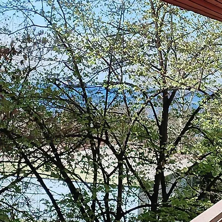 Two Big Waterfront In Same Building * テッサロニキ